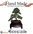 Бонсай - философия в глиняной плошке Hand Made Серия: Hand Made инфо 7484d.