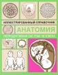 Репродуктивная система человека Серия: Иллюстрированный справочник Анатомия инфо 6313e.