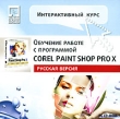 Интерактивный курс Corel Paint Shop Pro X (русская версия) Серия: Интерактивный курс инфо 5155h.